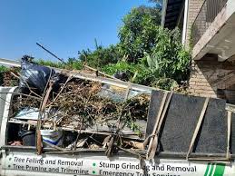 Best Yard Waste Removal  in Buena Park, CA